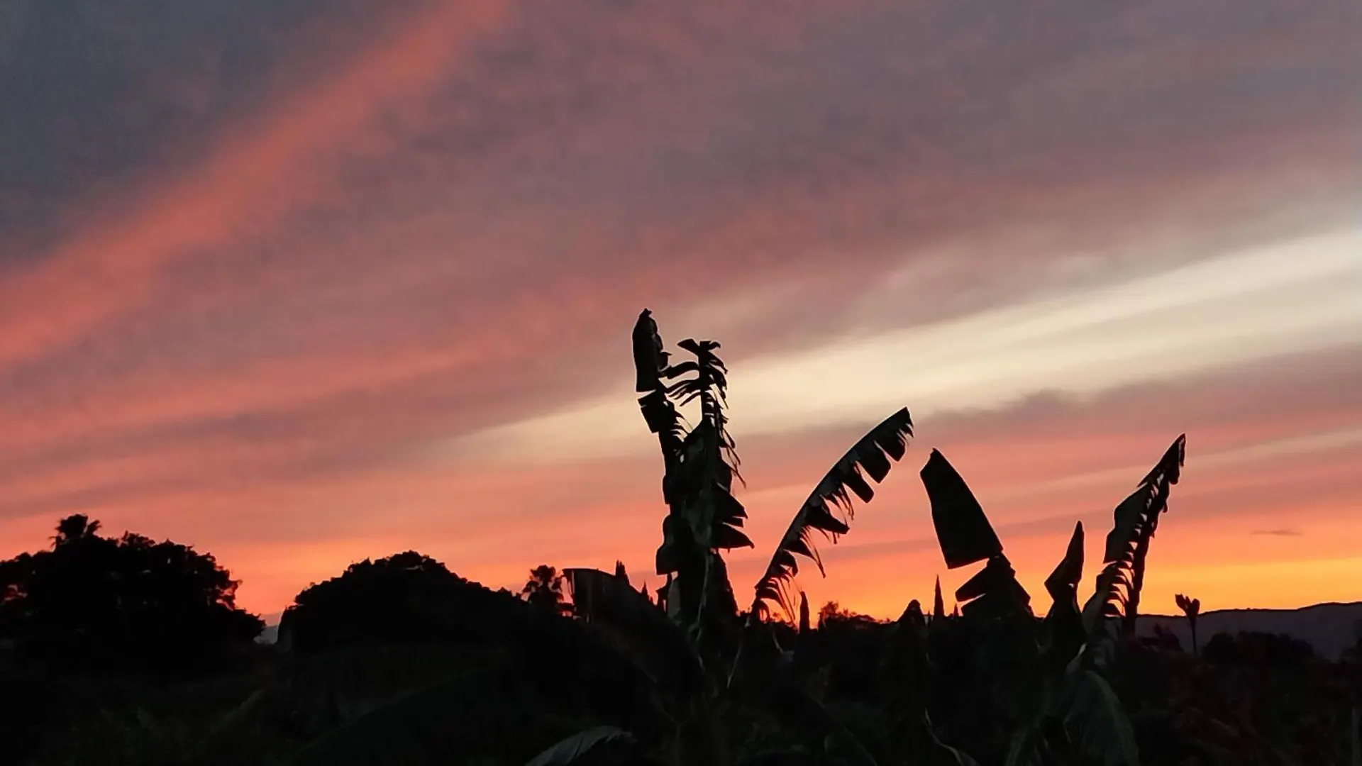 Bed & Breakfast Finca Sueno De Vida Alhaurin de la Torre Spain