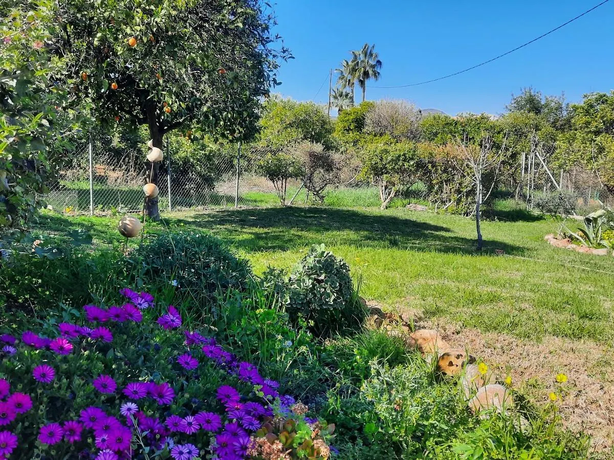 Finca Sueno De Vida Alhaurín de la Torre Bed & Breakfast